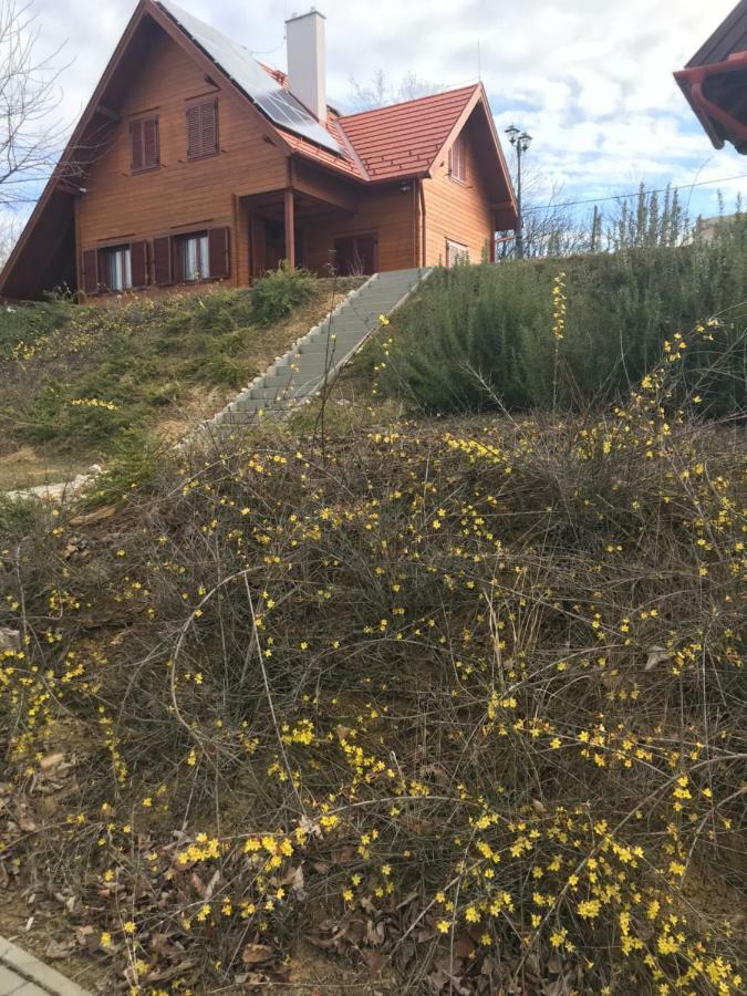 Boejti Pince Apartman Tormafolde Kültér fotó